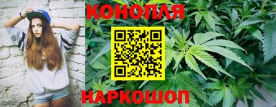 стафф Можга