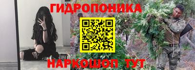 стафф Можга