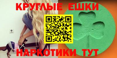гашик Нарткала