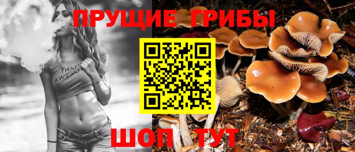 Псилоцибиновые грибы Magic Shrooms  Вход с VPN  Галлюциногенные грибы прущие грибы  Спасск-Дальний 